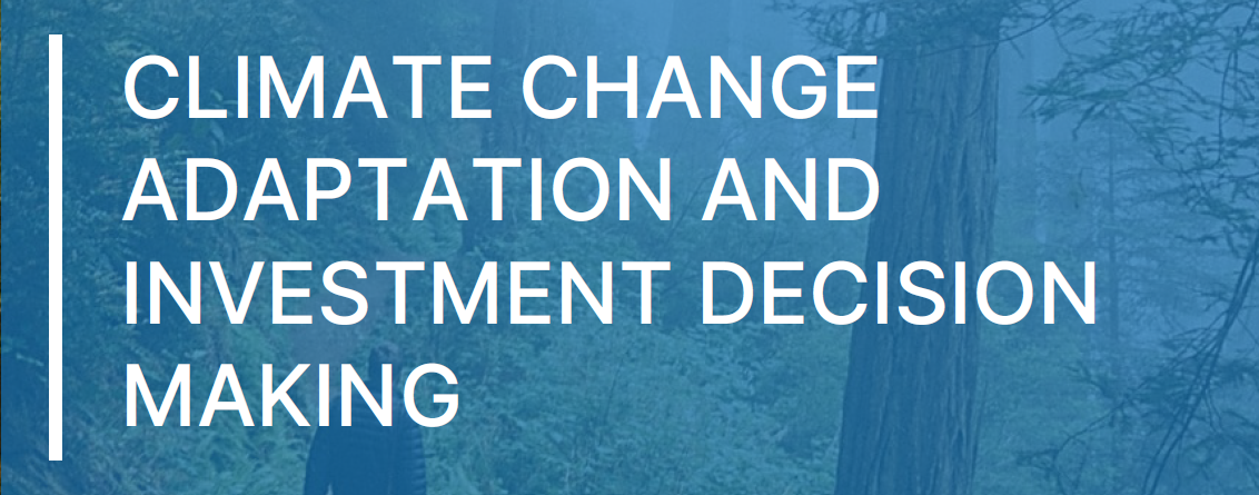 Climate change adaptation and investment decision making